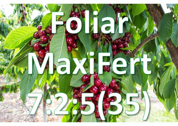 Foliar - Maxifert 7:2:5(35)