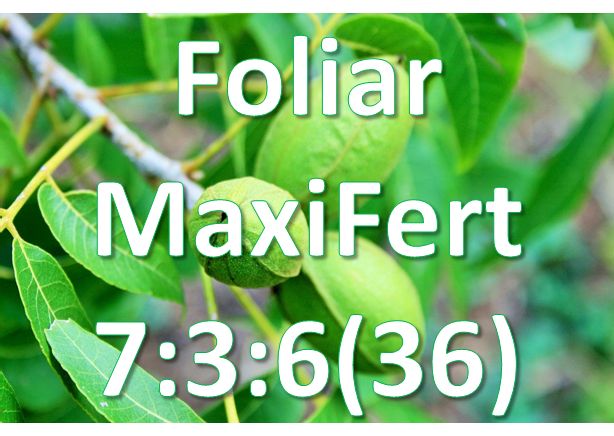Foliar - Maxifert 7:3:6(36)